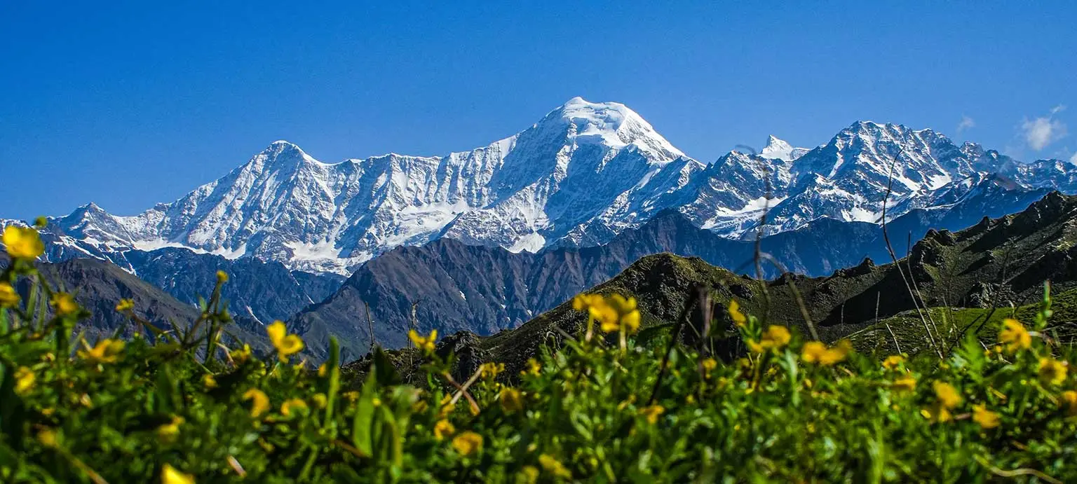 Surya Top Trek
